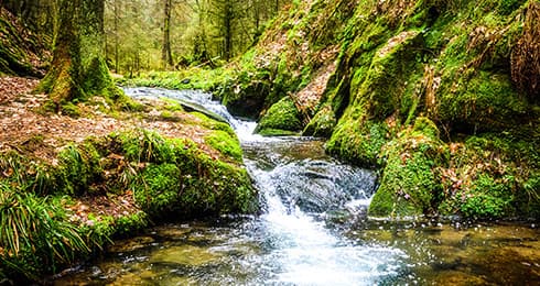 8 Waterfalls in and around Ooty That are Worth Visiting
