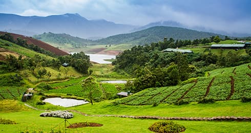 2 Days Ooty Itinerary: A Perfect Plan for Sightseeing