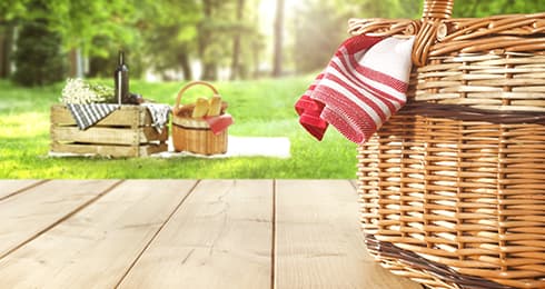 One Day Picnic Spots near Nagpur for a Perfect Family Time