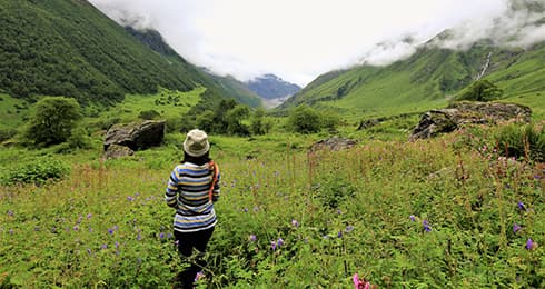 6 Best Hill Stations near Indore in 2024 with Distance